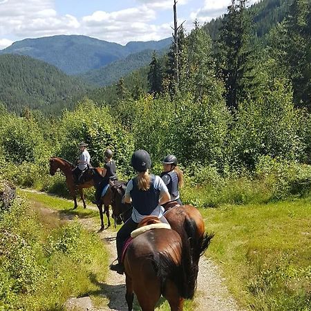 River Run Ranch - Telemark Drangedal ภายนอก รูปภาพ