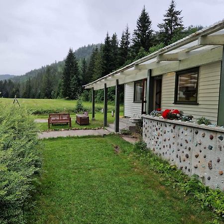 River Run Ranch - Telemark Drangedal ภายนอก รูปภาพ