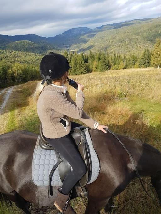 River Run Ranch - Telemark Drangedal ภายนอก รูปภาพ