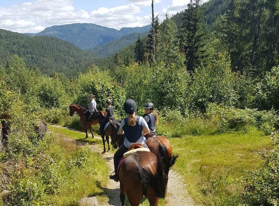 River Run Ranch - Telemark Drangedal ภายนอก รูปภาพ