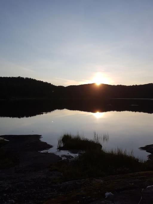 River Run Ranch - Telemark Drangedal ภายนอก รูปภาพ