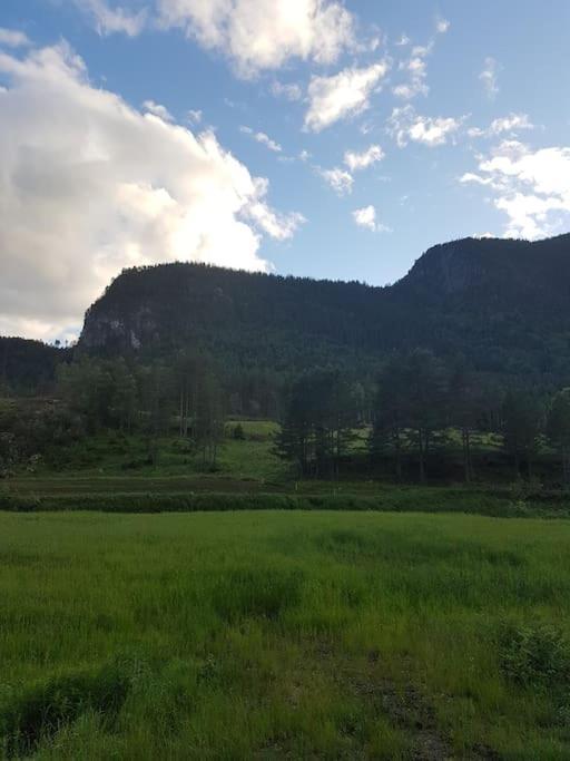 River Run Ranch - Telemark Drangedal ภายนอก รูปภาพ