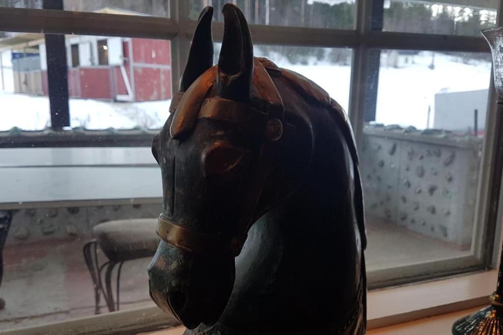 River Run Ranch - Telemark Drangedal ภายนอก รูปภาพ