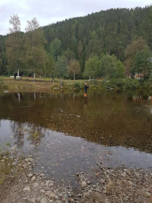 River Run Ranch - Telemark Drangedal ภายนอก รูปภาพ
