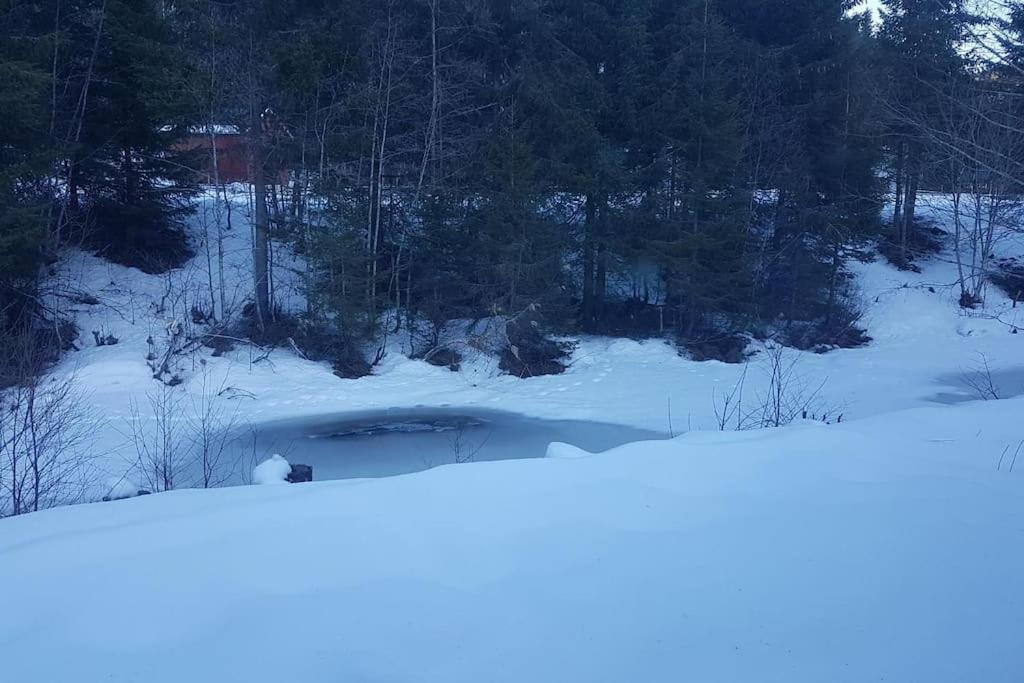 River Run Ranch - Telemark Drangedal ภายนอก รูปภาพ