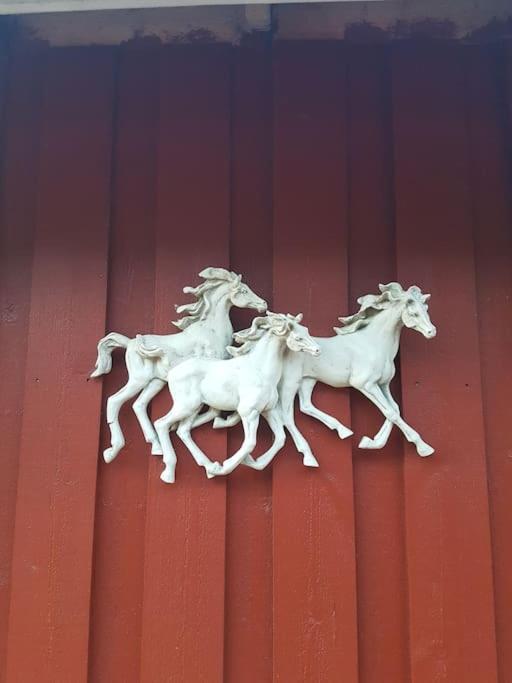 River Run Ranch - Telemark Drangedal ภายนอก รูปภาพ