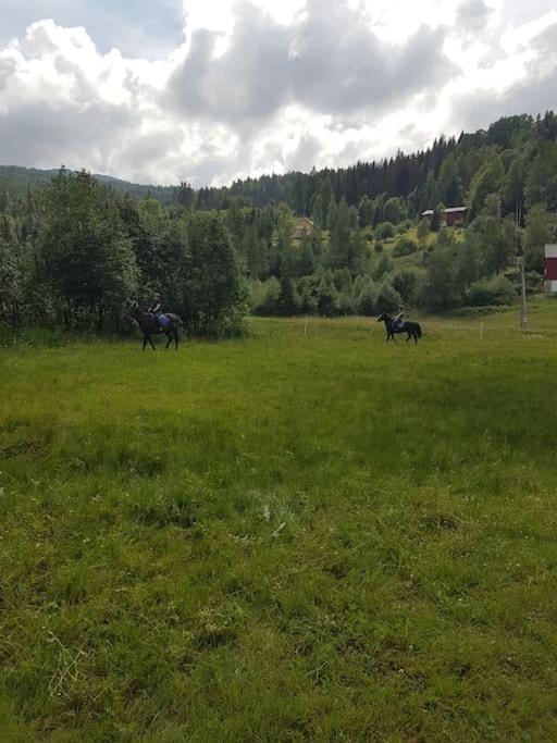 River Run Ranch - Telemark Drangedal ภายนอก รูปภาพ