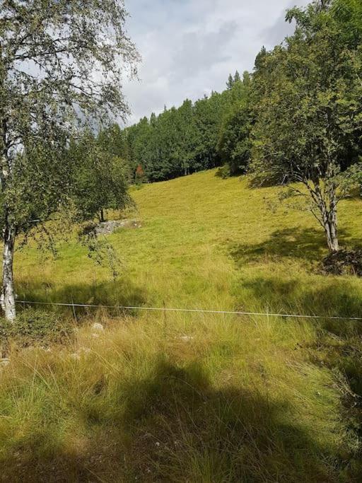 River Run Ranch - Telemark Drangedal ภายนอก รูปภาพ