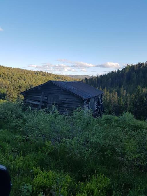 River Run Ranch - Telemark Drangedal ภายนอก รูปภาพ