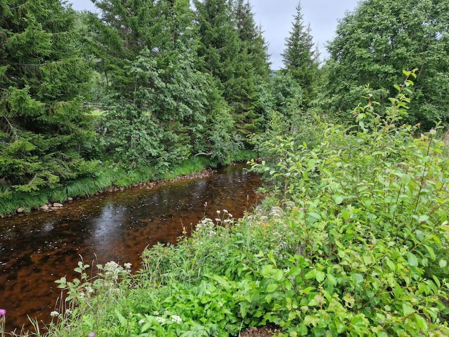 River Run Ranch - Telemark Drangedal ภายนอก รูปภาพ