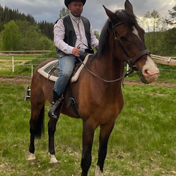 River Run Ranch - Telemark Drangedal ภายนอก รูปภาพ