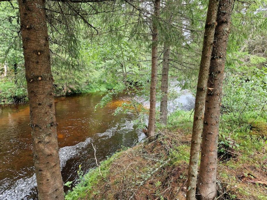 River Run Ranch - Telemark Drangedal ภายนอก รูปภาพ