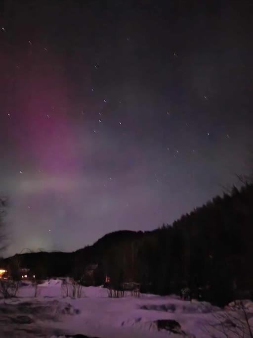 River Run Ranch - Telemark Drangedal ภายนอก รูปภาพ