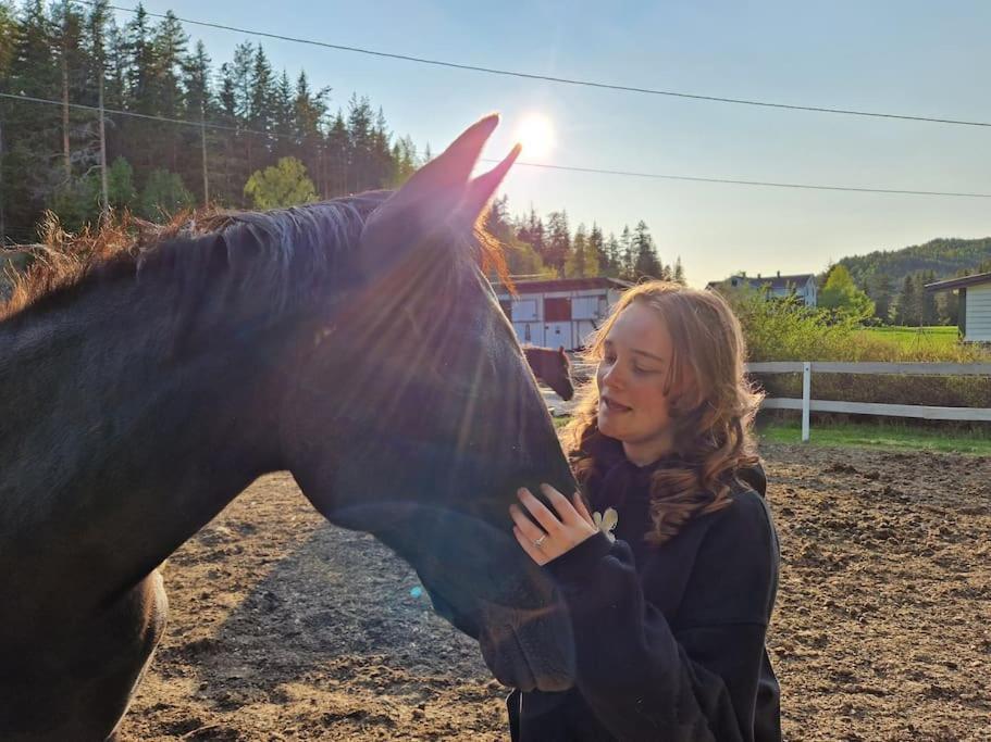 River Run Ranch - Telemark Drangedal ภายนอก รูปภาพ